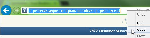 URL